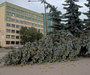 Po burzy w Białymstoku