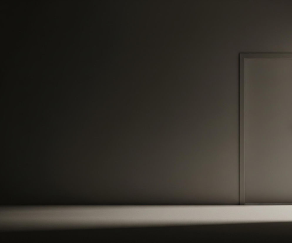 W pomieszczeniu dominującym kolorem jest ciemnoszary, a po prawej stronie znajduje się zamknięte, jasnoszare drzwi z ciemną, poziomą klamką. Po prawej od drzwi widoczny jest pionowy pas jasnego światła, padającego zza niewidocznego otworu, rozświetlając fragment podłogi i ściany. Reszta kadru jest pogrążona w cieniu, z podłogą jaśniejszą niż ściana.