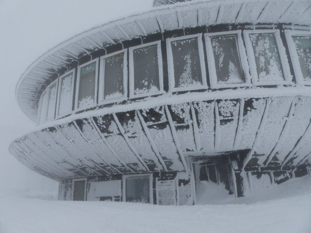 Śnieżka zasypana śniegiem