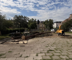 Protest mieszkańców nie pomógł. Świerki i modrzewie na Placu Drzewnym w Tarnowie zostały wycięte