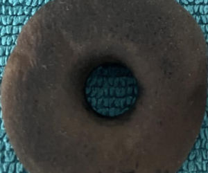 Pasjonaci historii znaleźli skarby sprzed 2 tysięcy lat