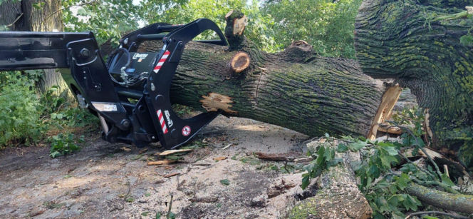 Potężne drzewa połamane jak zapałki. Front burzowy siał zniszczenie w całym kraju