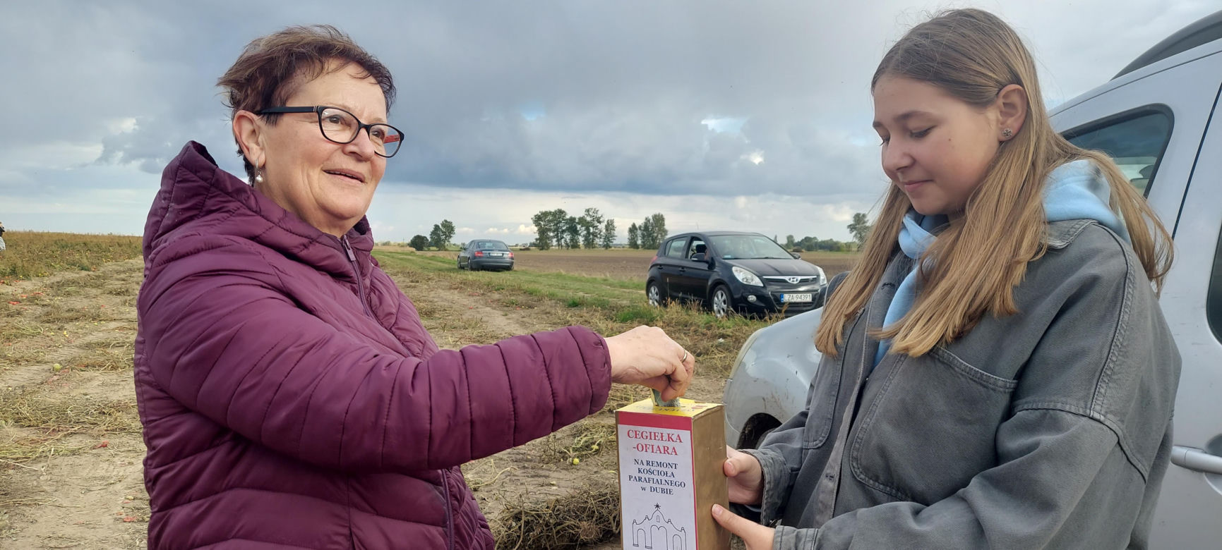 Samozbiory pomidorów na plantacji w Niewirkowie cieszą się powodzeniem