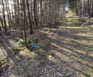 Pojechaliśmy na miejsce śmierci Magdaleny Majtyki. Nawet w dzień przyprawia o dreszcze