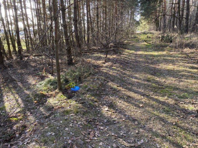 Pojechaliśmy na miejsce śmierci Magdaleny Majtyki. Nawet w dzień przyprawia o dreszcze
