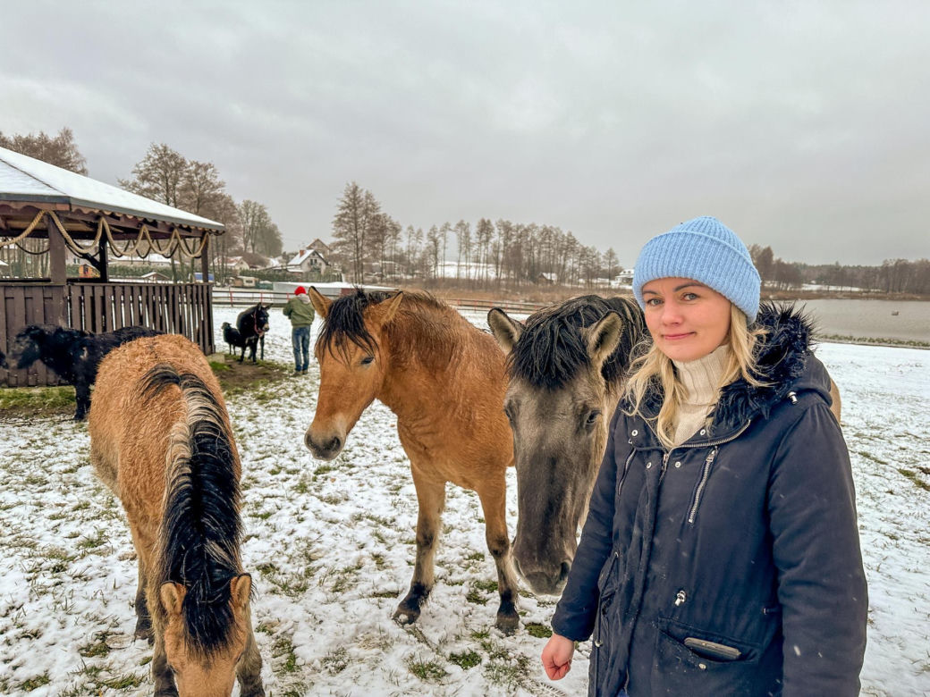 Wystraszył je huk petard. Konie, kucyki i osioł zabłąkane na środku drogi