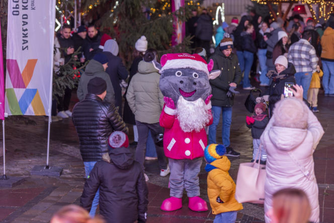 Zimą nie wszyscy mają odpowiedni poziom energii !!