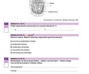 Próbna matura 2026 biologia. WSZYSTKIE arkusze CKE i odpowiedzi 14.01.
