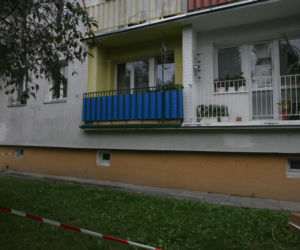 Z zemsty i zazdrości wbił bagnet w głowę Agaty. Krwawy mord w Łódzkiem