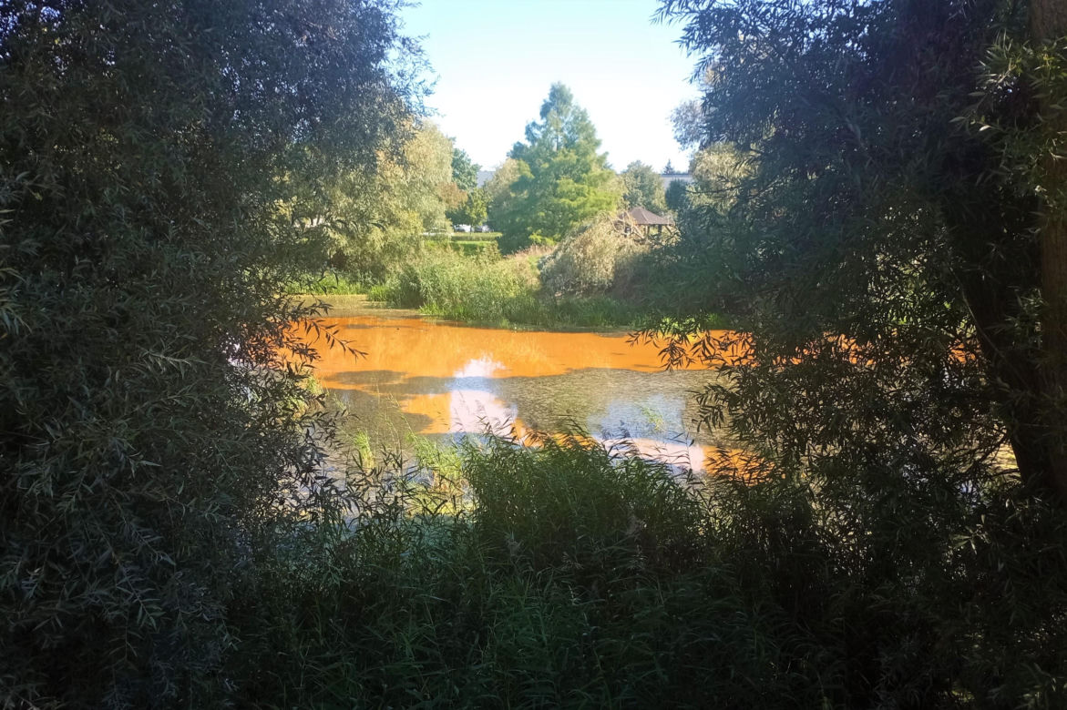 Zanieczyszczone Jezioro Słoneczne
