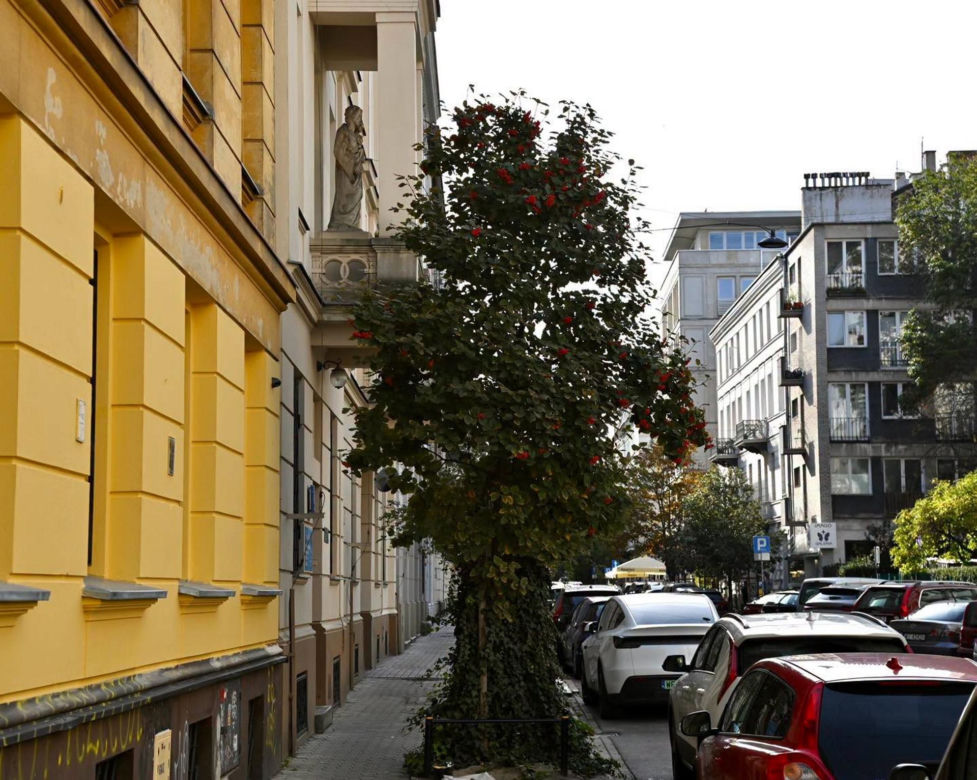 Ul. Wilcza wpisana do rejestru. Chroniony układ urbanistyczny to aż 129 działek!
