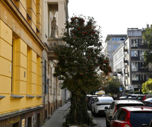 Ul. Wilcza wpisana do rejestru. Chroniony układ urbanistyczny to aż 129 działek!