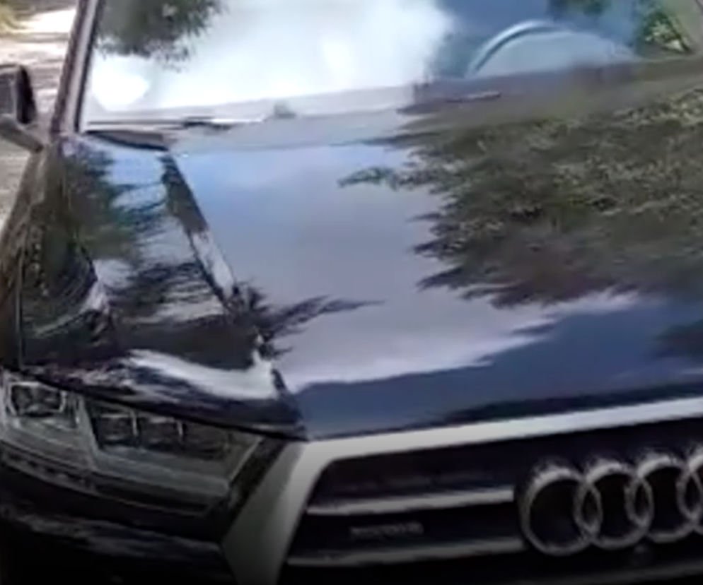 Znaleźli w lesie skradzione Audi warte 360 tys. zł.