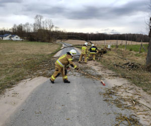 To były wietrzne święta Wielkanocne. Straż Pożarna z Iławy podsumowuje interwencje