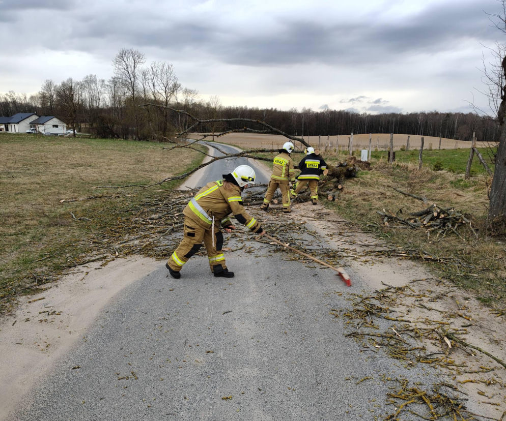 To były wietrzne święta Wielkanocne. Straż Pożarna z Iławy podsumowuje interwencje