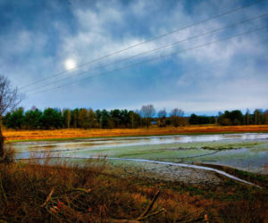 Rekordowo niski poziom wody w zalewie Brodzkim. Remont tamy i jazu Staszica w Brodach