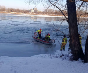 Łabędź przymarzł do lodu na Wiśle