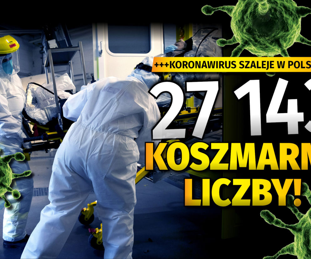 LICZBA DNIA 5 11