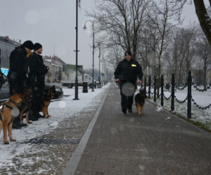 Tazer, policjant na 4 łapach, przeszedł na emeryturę