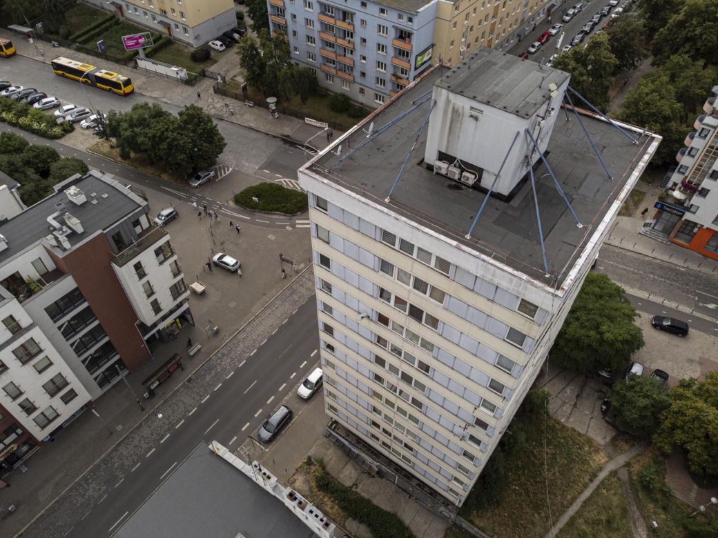 Trzonolinowiec dziś