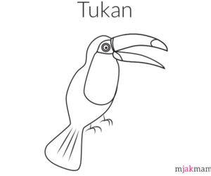 ptaki kolorowanki - tukan