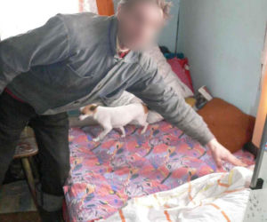 Tragedia na Mazowszu. Przez chorą fascynację jedna osoba zginęła, a dwie zostały ranne
