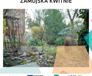 Zamojska kwitnie. Plan wydarzeń