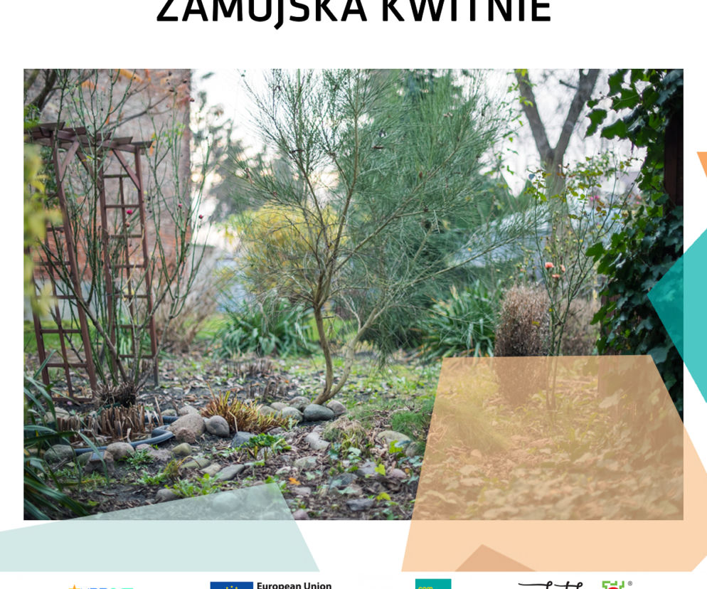Zamojska kwitnie. Plan wydarzeń