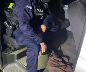 Śląskie: Ciężarna sarna zginęła pod autem. Z rozerwanego brzucha wypadło młode! Policjanci przyjęli poród 