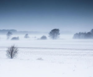 Mroźny Horror w Stargardzie! Sprawdź, co wydarzy się 20.11.2025 i czy zdołasz to przetrwać?
