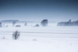 Mroźny Horror w Stargardzie! Sprawdź, co wydarzy się 20.11.2025 i czy zdołasz to przetrwać?