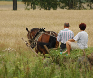 Magiczne Podlasie