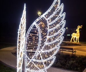 Finał „Świeć się z Energą”. Świąteczne iluminacje w Łomży [ZDJĘCIA]