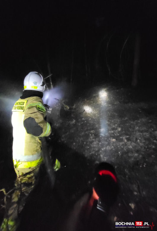 Pożar lasów w powiecie bocheńskim