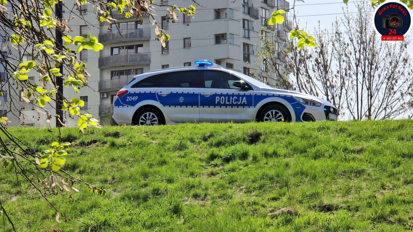Makabryczne odkrycie w Warszawie: ciało w stawie przy pętli tramwajowej