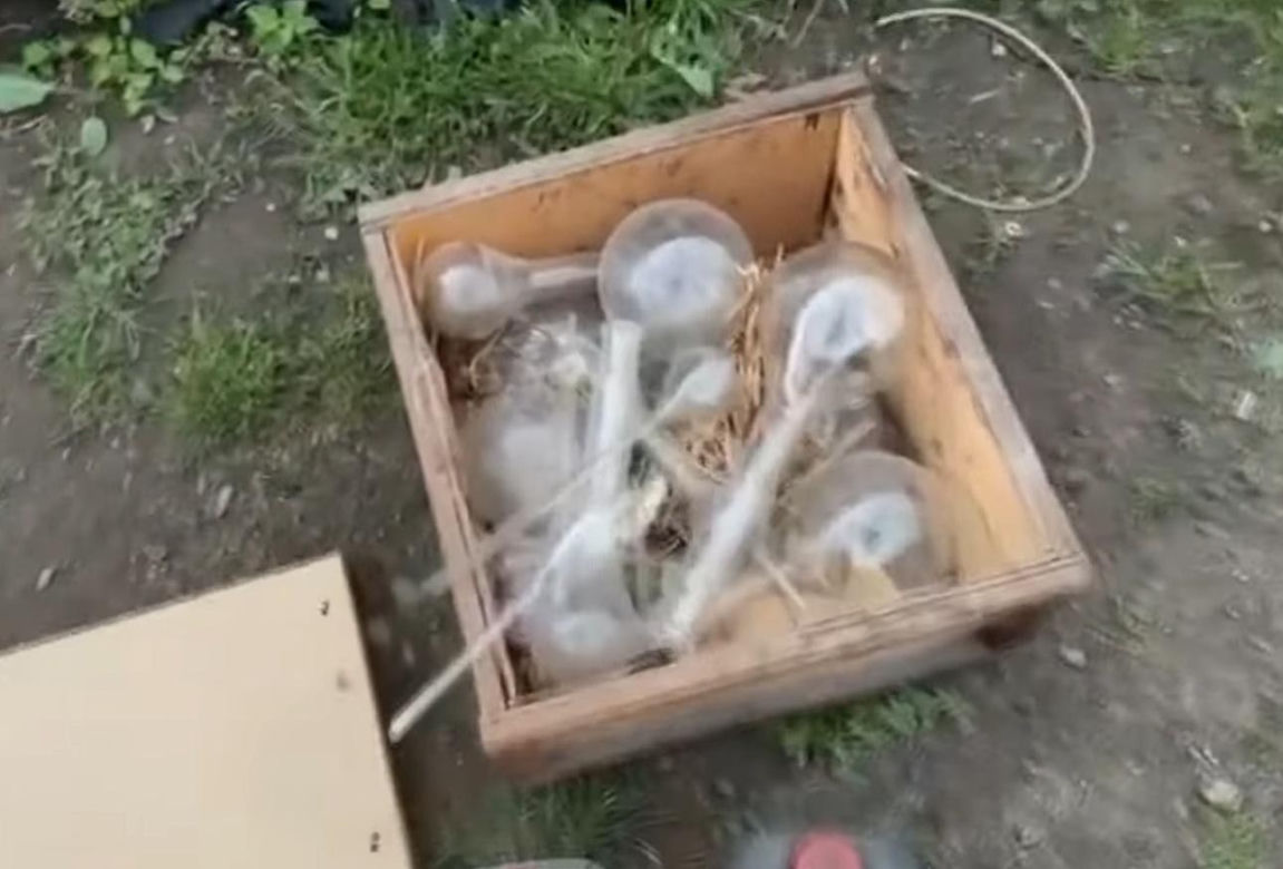 Kosza, broń i amunicja. Miał w domu prawdziwy arsenał