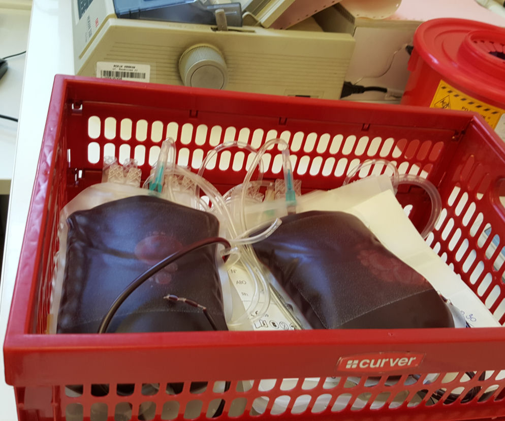 Koronawirus. Przez epidemię brakuje krwiodawców! Jak wygląda stan zapasów?