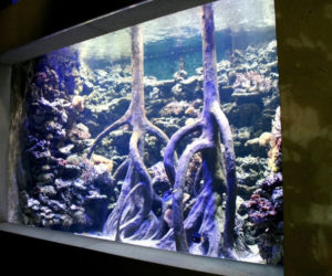 Rozbudowa ZOO