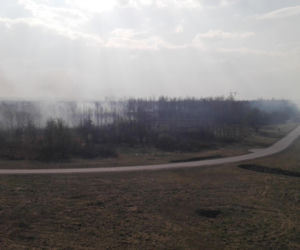 Mieszkańcy Podkarpacia masowo wypalają trawy