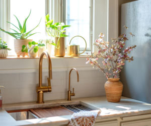 Najlepsze kwiaty doniczkowe do kuchni