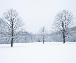 Jak korzystać z zimowych dni?