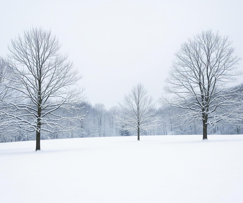 Sroga zima w Polsce. Kied.jpg