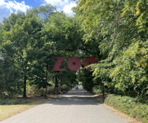 Warszawskie ZOO z nowym cennikiem. Jak się zmienią ceny biletów?