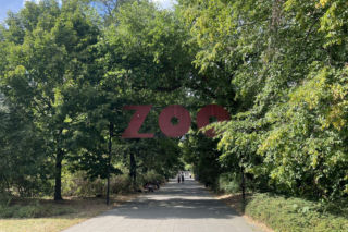 Warszawskie ZOO zmienia ceny biletów. Jak wygląda nowy cennik?