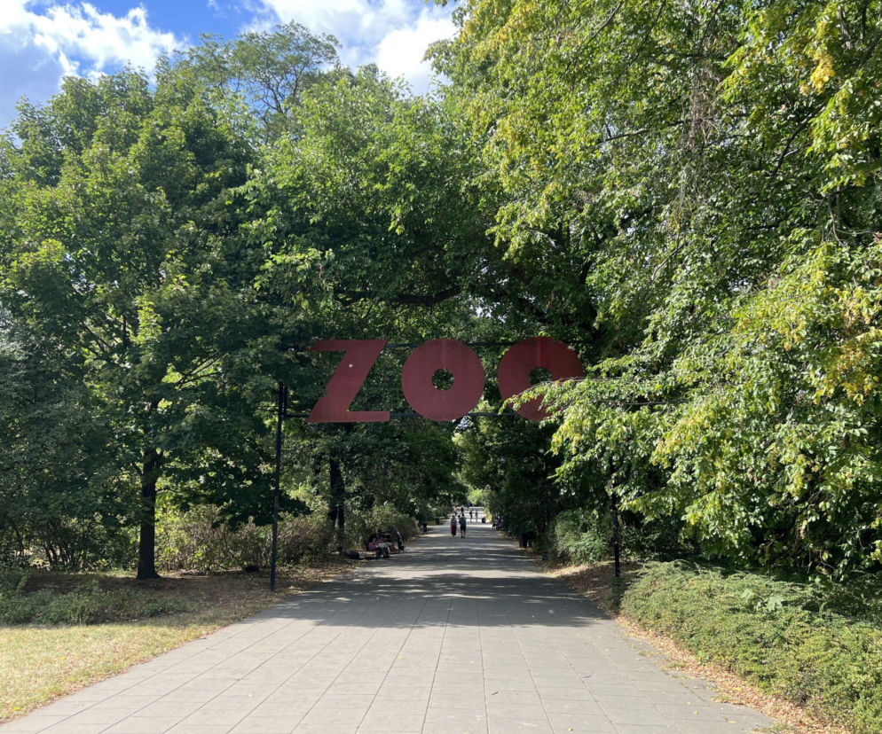 Warszawskie ZOO z nowym cennikiem. Jak się zmienią ceny biletów?