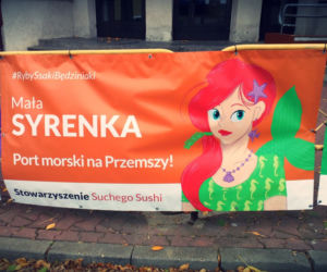 Mała Syrenka: Port morski na Przemszy