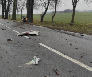 Audi uderzyło w znak, a potem w drzewo. Kierowca nie przeżył