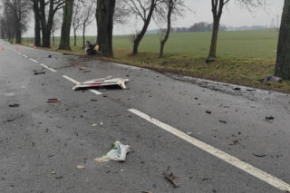 Audi uderzyło w znak, a potem w drzewo. Kierowca nie przeżył