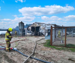 Ogromne straty po pożarze wielkiego kurnika w Lipinkach. W środku trzymano blisko 2 tysiące bażantów
