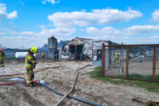 Ogromne straty po pożarze wielkiego kurnika w Lipinkach. W środku trzymano blisko 2 tysiące bażantów